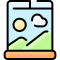 icons8-window-60 icons8-window-60
